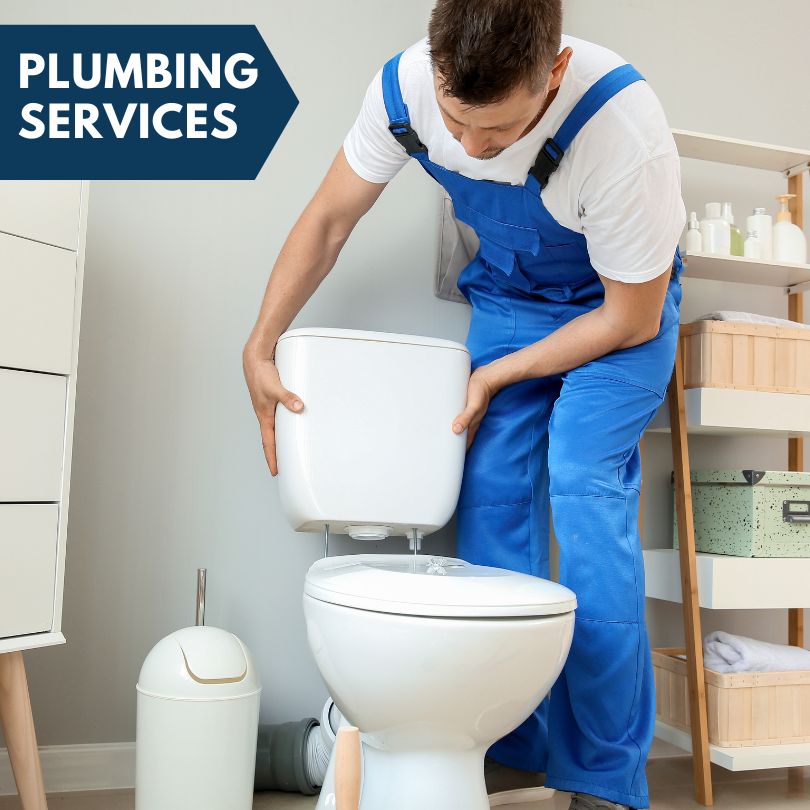Plumbing Company in Loughman, FL